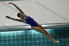 Swimming & Diving vs RWU  Swimming & Diving vs Roger Williams University. - Photo by Keith Nordstrom : Wheaton, Swimming